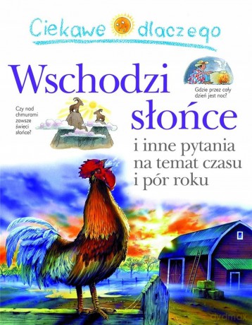 Ciekawe dlaczego wschodzi słońce - Brenda Walpole [KSIĄŻKA]