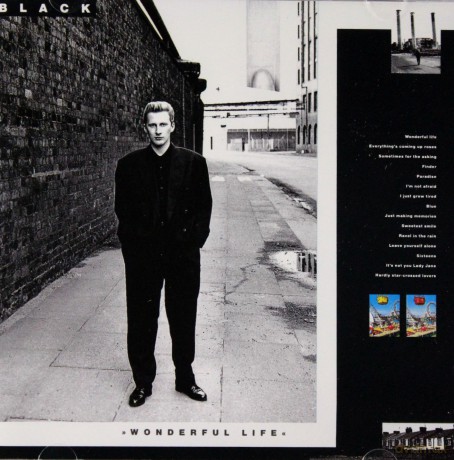 Black: Wonderful Life [CD]