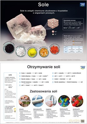 Chemia Plansza Dydaktyczna Sole [PLANSZA]