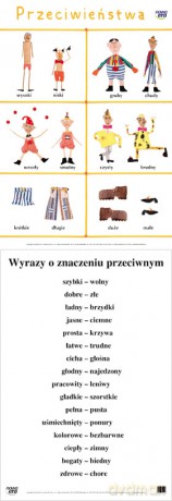 Naucz. Zint. Plansza Dydaktyczna Przeciwieństwa [PLANSZA]