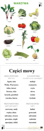 Naucz. Zint. Plansza Dydaktyczna Warzywa [PLANSZA]