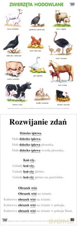 Naucz. Zint. Plansza Dydaktyczna Zwierzęta Hodowlane [PLANSZA]