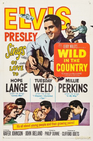 Wild in the Country (Dzikus z prowincji) [DVD]