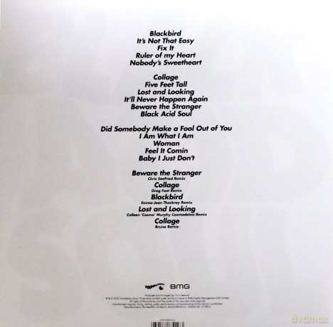 Lady Blackbird: Black Acid Soul (Deluxe) [2xWinyl]