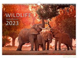 Kalendarz 2023 EX Wildlife [KALENDARZ]
