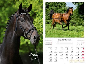 Kalendarz 2023 ścienny 13-K Konie [KALENDARZ]