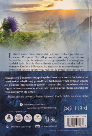 Pensjonat Bluebell (Tomy 1-3) - Denise Hunter [KSIĄŻKA]