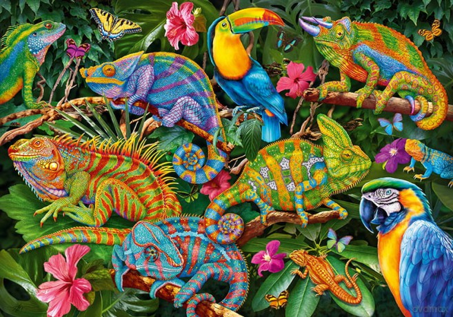 TIMARO 2000 el. Amazing Chameleons [PUZZLE]