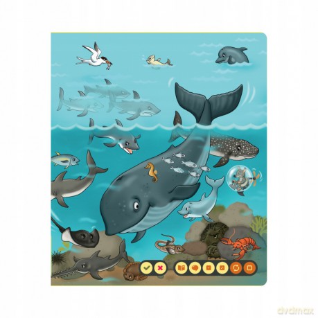 Czytaj z Albikiem - Morskie opowieści (książka interaktywna) Praca zbiorowa