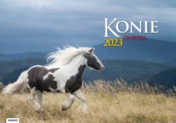Kalendarz 2023 albumowy Konie KA10 [KALENDARZ]