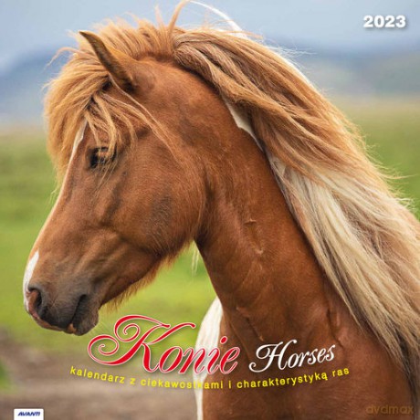 Kalendarz 2023 albumowy Konie KAD11 [KALENDARZ]