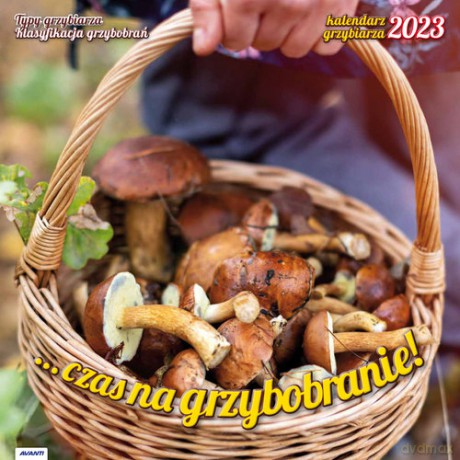 Kalendarz 2023 albumowy Por. Grzybiarza KAD6 [KALENDARZ]