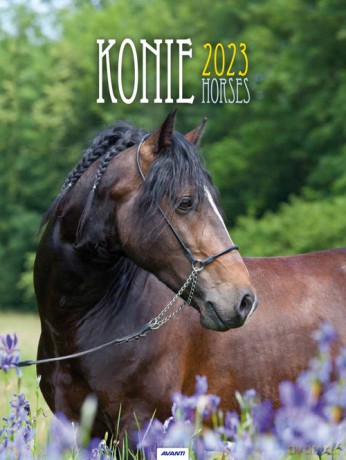 Kalendarz 2023 na spirali Konie KSMS5 [KALENDARZ]