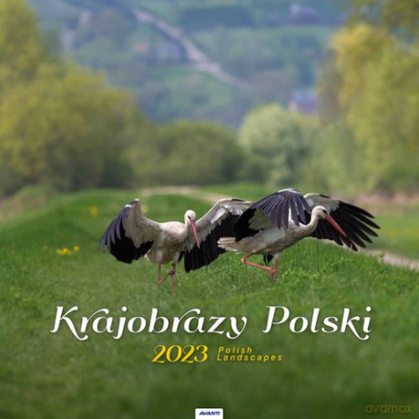 Kalendarz 2023 spirala kw Krajobrazy Polski KD35 [KALENDARZ]