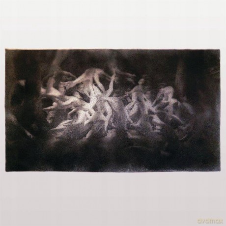 Delvoid: Swarmlife [CD]