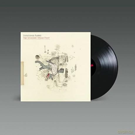 Frightened Rabbit: The Midnight Organ Fight [Winyl]