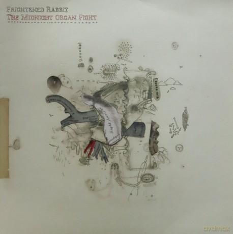 Frightened Rabbit: The Midnight Organ Fight [Winyl]