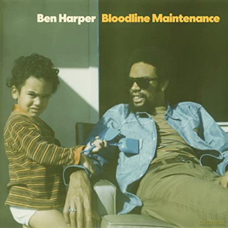 Ben Harper: Bloodline Maintenance [Winyl]