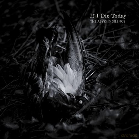 If I Die Today: The Abyss In Silence [CD]