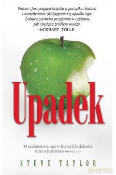 Upadek  - Taylor Steve [KSIĄŻKA]