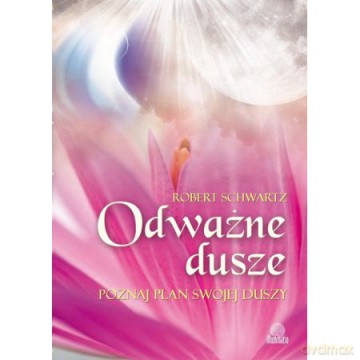 Odważne dusze. Poznaj plan swojej duszy - Robert Schwartz [KSIĄŻKA]