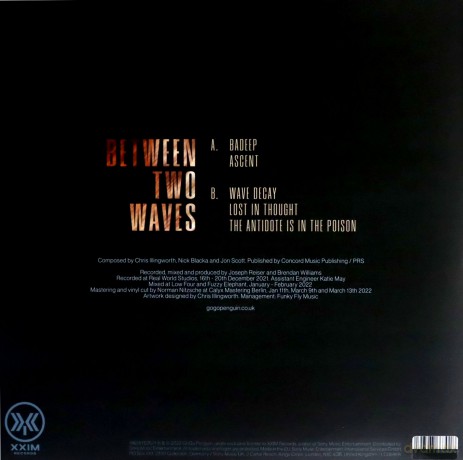 GoGo Penguin: Between Two Waves (Transparent Clear) [Winyl]