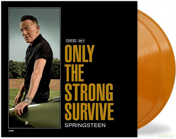 Bruce Springsteen: Only the Strong Survive [2xWinyl]