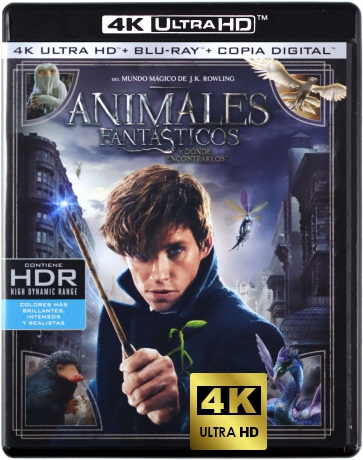 Fantastic Beasts and Where to Find Them (Fantastyczne zwierzęta i jak je znaleźć) [Blu-Ray 4K]+[Blu-Ray]