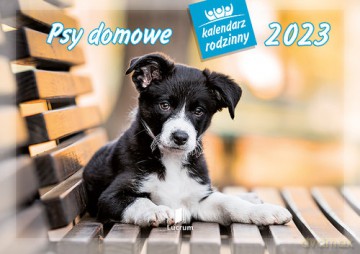 Kalendarz rodzinny 2023 WL08 Psy domowe [KALENDARZ]