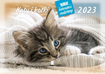 Kalendarz rodzinny 2023 WL09 Koty i kotki [KALENDARZ]