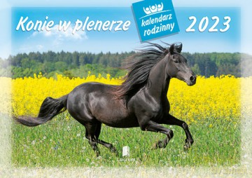 Kalendarz rodzinny 2023 WL10 Konie w plenerze [KALENDARZ]