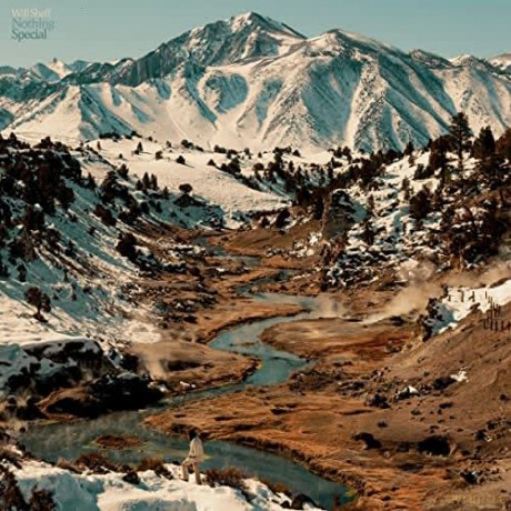 Will Sheff: Nothing Special [CD]