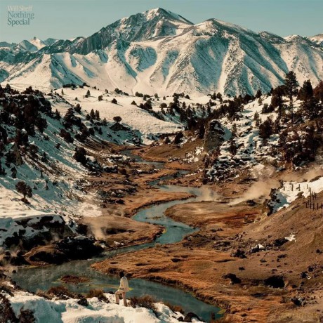 Will Sheff: Nothing Special (Colored) (Indie) [Winyl]