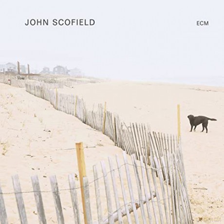 John Scofield: Solo [Winyl]