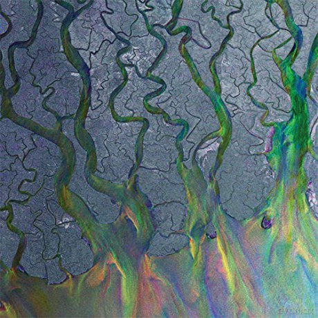 Alt-J: An Awesome Wave [Winyl]