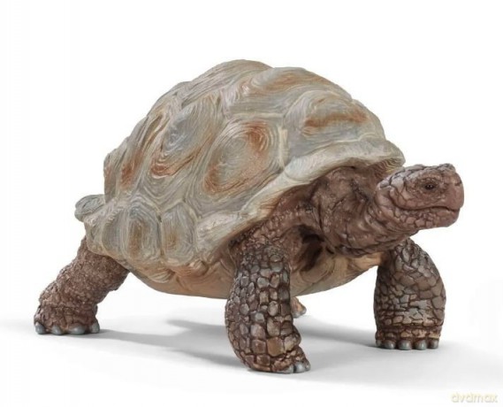 Żółw Gigant Wild Life [FIGURKA]