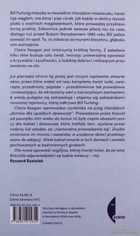 Drobiazgi takie jak te - Claire Keegan [KSIĄŻKA]