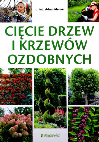 Cięcie drzew i krzewów ozdobnych - Inż. Marosz Adam Dr. [KSIĄŻKA]