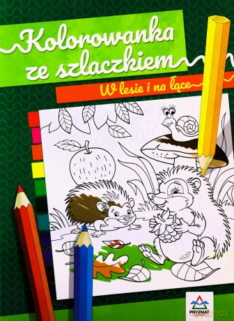 Kolorowanka ze szlaczkiem W lesie i na łące [KSIĄŻKA]