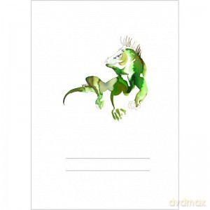 Zeszyt do kaligrafii Iguana Izabela - Piazza Kamila Il. [KSIĄŻKA]