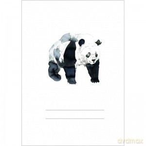 Zeszyt do kaligrafii Panda Petronela - Piazza Kamila Il. [KSIĄŻKA]
