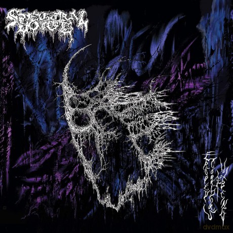 Spectral Voice: Eroded Corridors Of Unbeing (Clear) [Winyl]