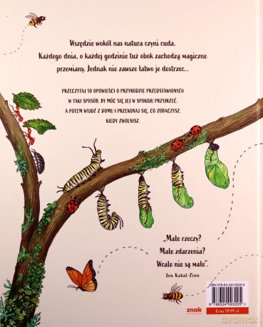 Slow Down. Zwolnij. 50 opowieści o przyrodzie, która wnosi spokój do zabieganego świata - Rachel Williams [KSIĄŻKA]