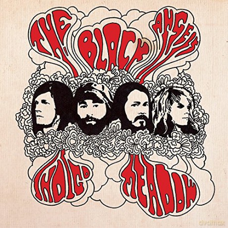 Black Angels: Indigo Meadow [CD]
