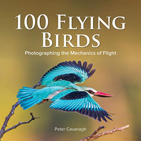 100 Flying Birds: Photographing the Mechanics of Flight - Peter Cavanagh [KSIĄŻKA]