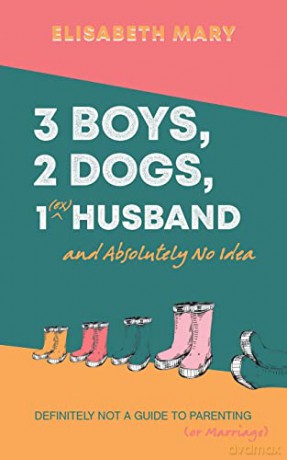 3 Boys, 2 Dogs, 1 (Ex) Husband and Absolutely No Idea: Definitely not a guide to parenting (or Marriage) - Elisabeth Mary [KSIĄŻKA]