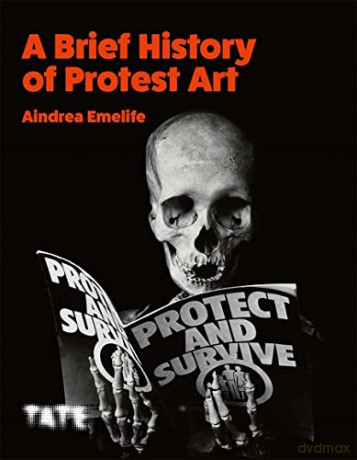A Brief History of Protest Art - Aindrea Emelife [KSIĄŻKA]