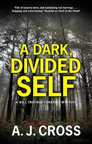 A Dark, Divided Self: 3 (A Will Traynor forensic mystery) - A.J. Cross [KSIĄŻKA]