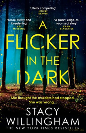 A Flicker in the Dark: The New York Times bestselling debut psychological serial killer thriller with a shocking twist that will keep you up all night in 2022 - Stacy Willingham [KSIĄŻKA]