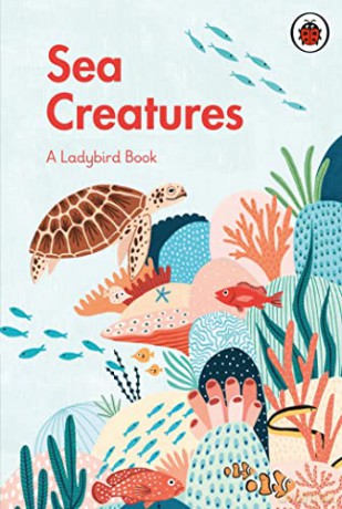 A Ladybird Book: Sea Creatures - Amber Davenport [KSIĄŻKA]